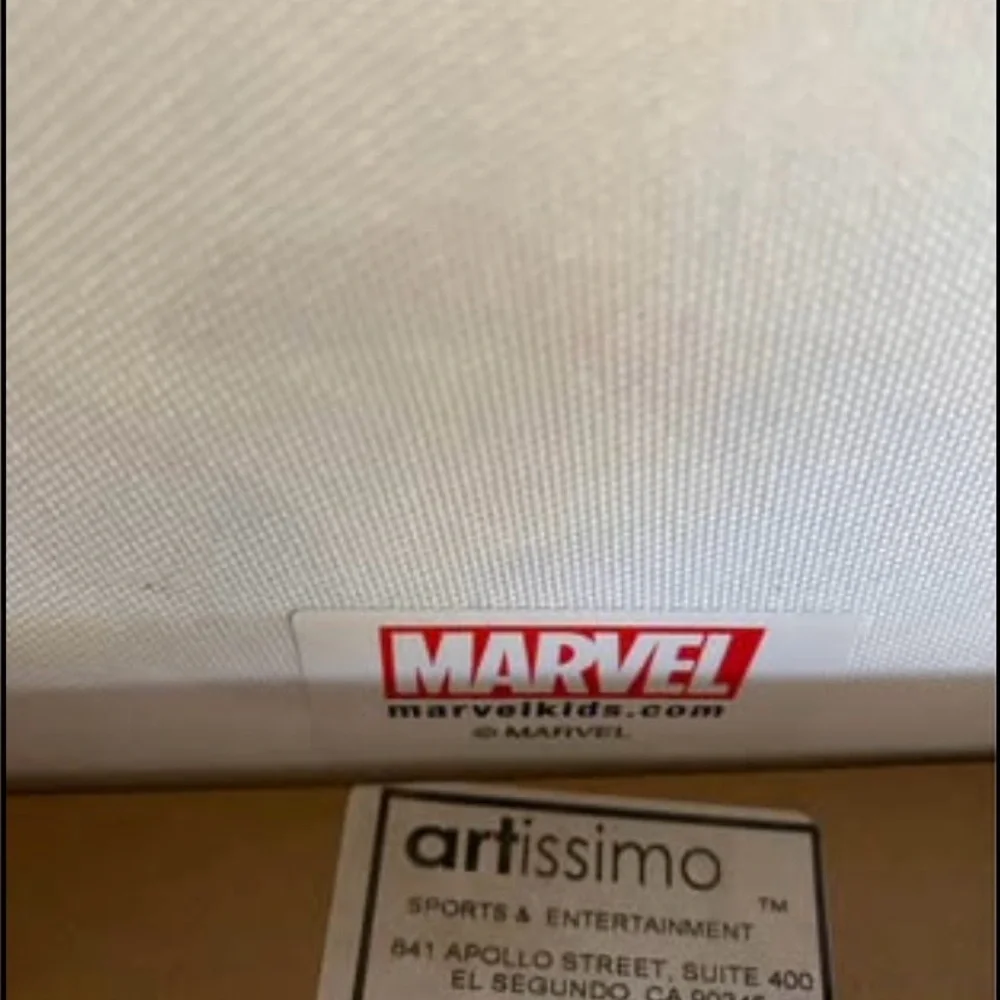 Marvel Spider-Man Red and Blue Action Tapestry